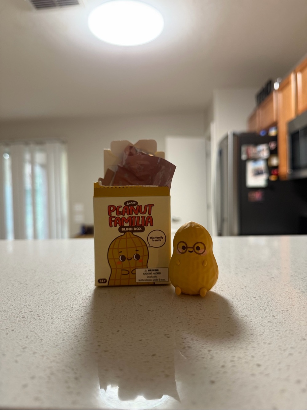 Peanut Familia Blind Box Figure